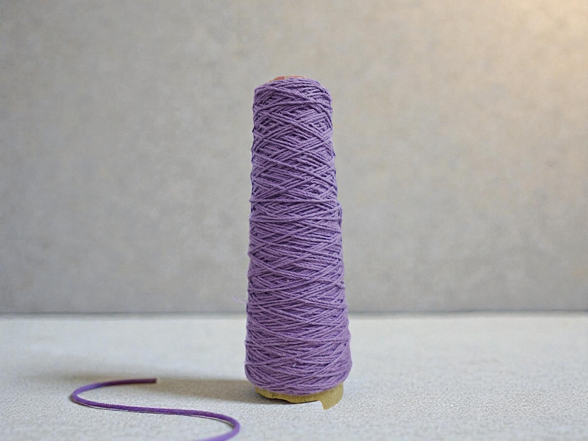 相片 2026-1-28 17 59 12 (15)