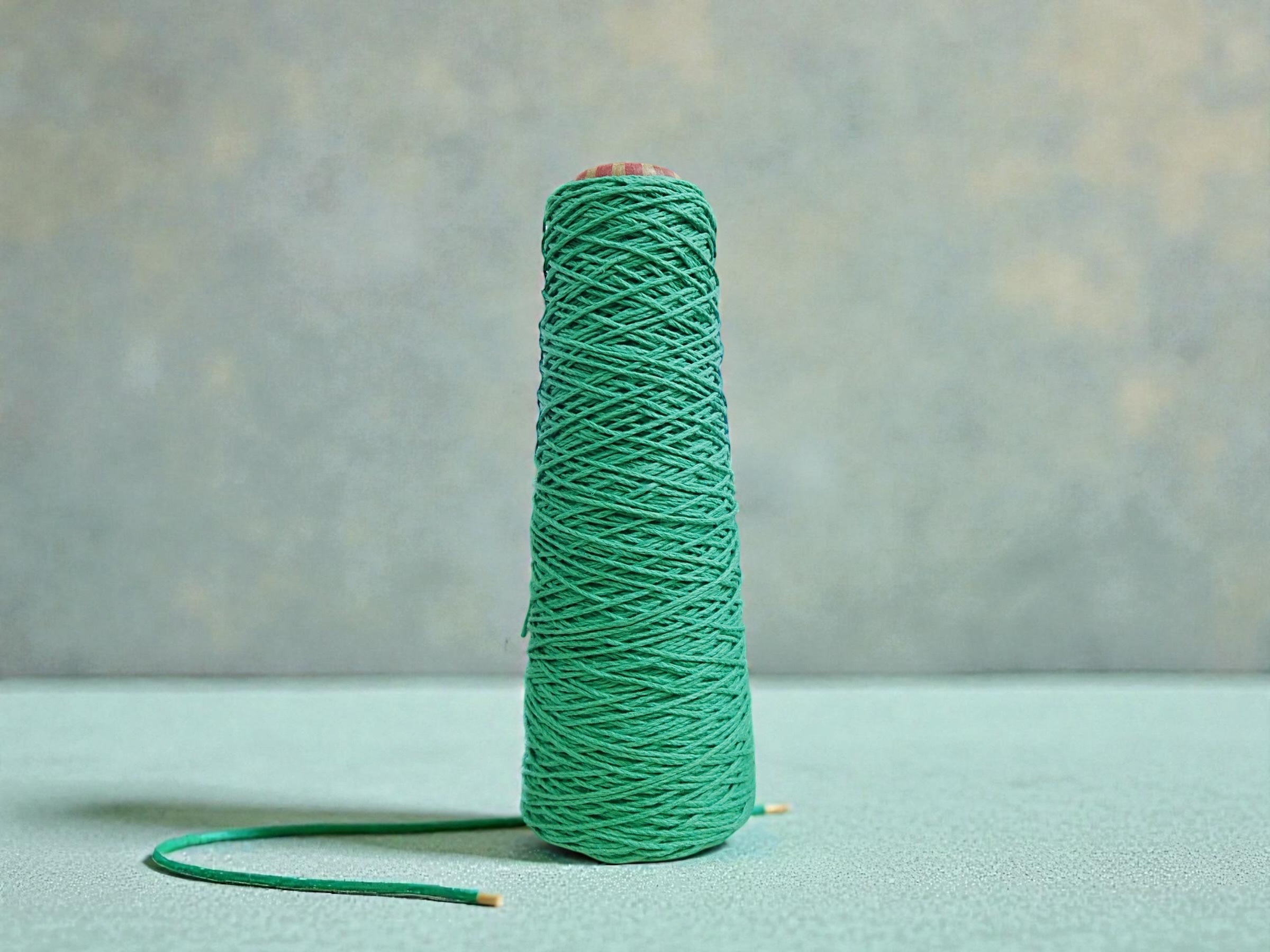 相片 2026-1-28 17 59 12 (7) (1)