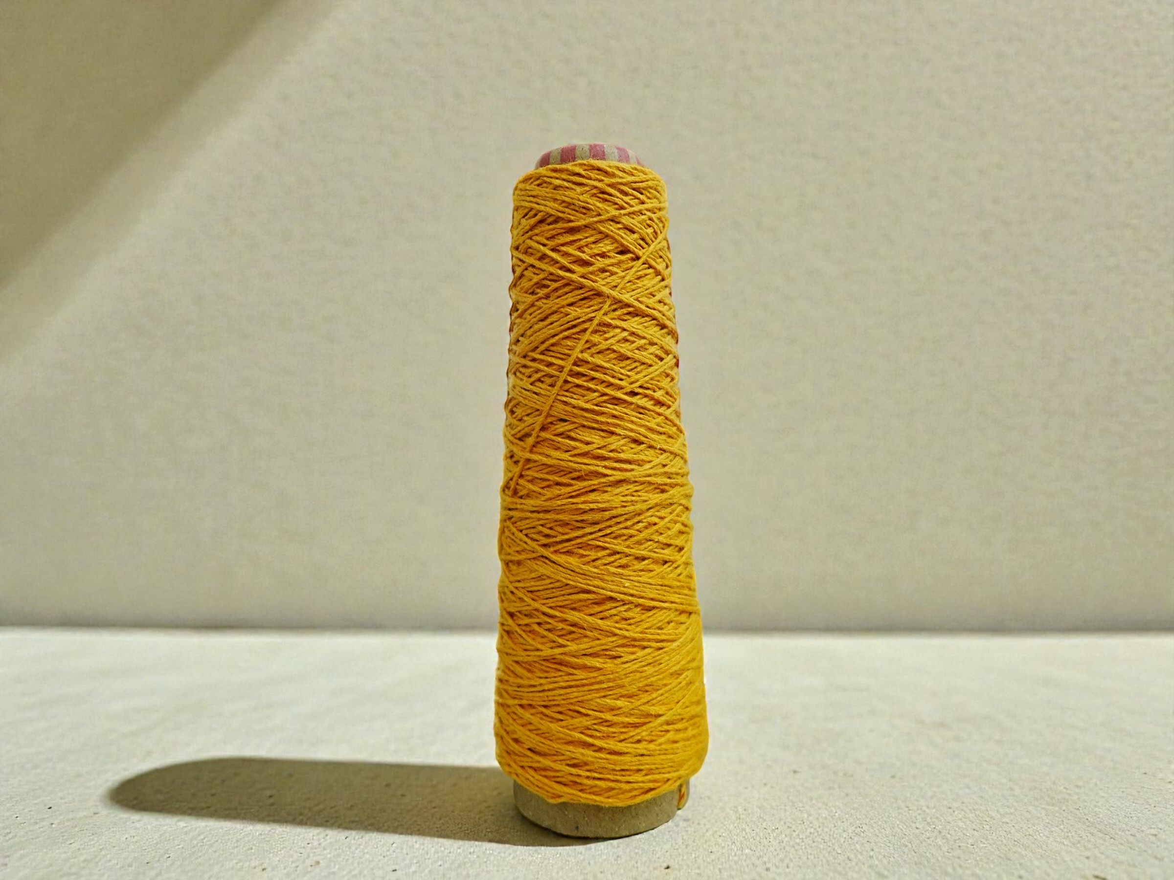 相片 2026-1-28 17 59 12 (9)