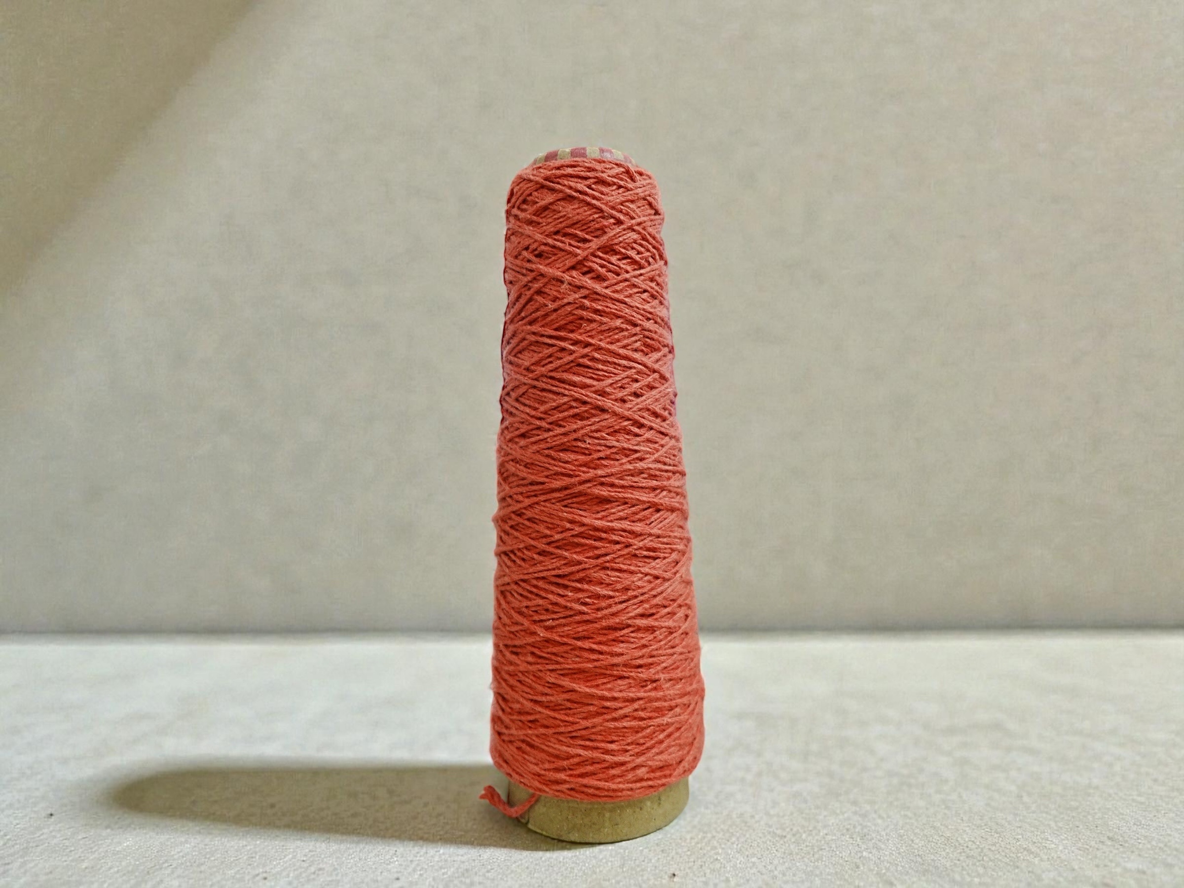 相片 2026-1-28 17 59 12 (13)