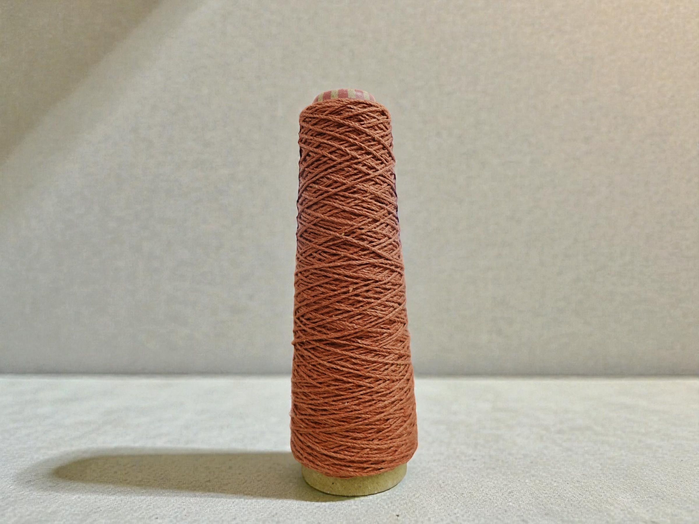 相片 2026-1-28 17 59 12 (10) (1)