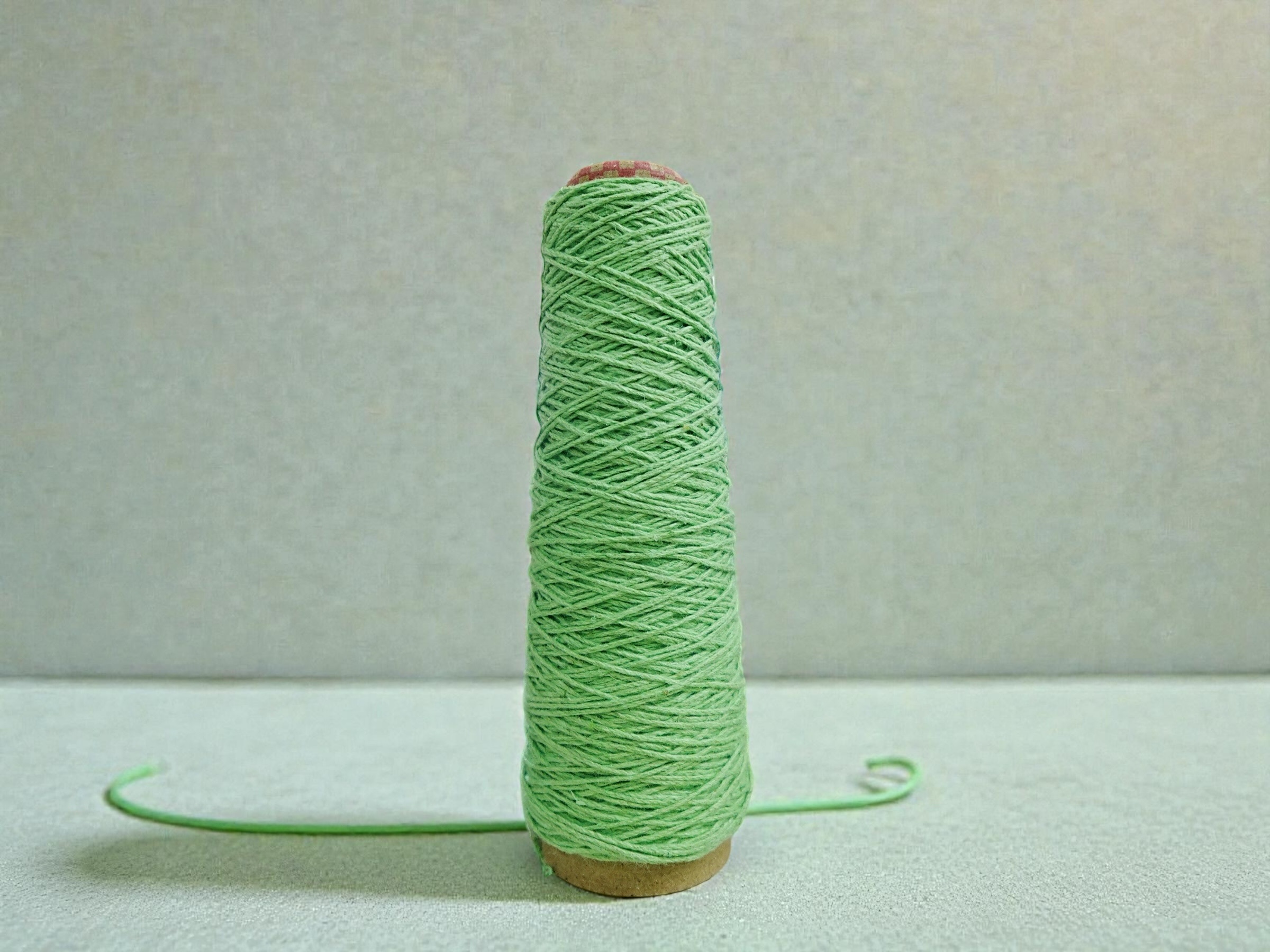 相片 2026-1-28 17 59 12 (6)