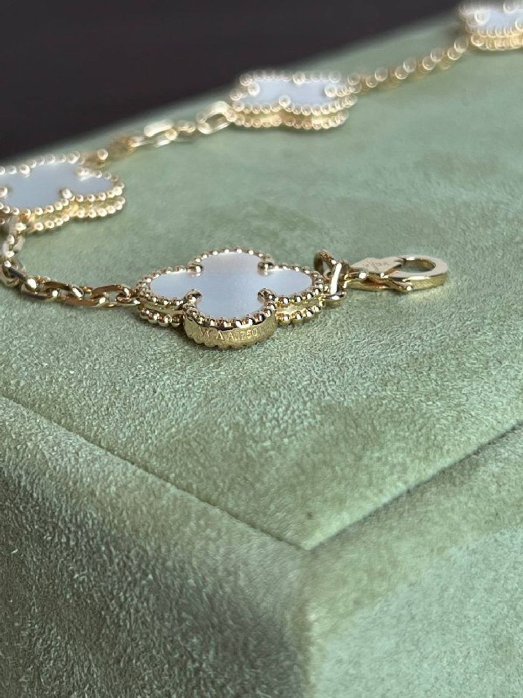 81a503a8-a83e-434a-a269-66406bbd5a5a