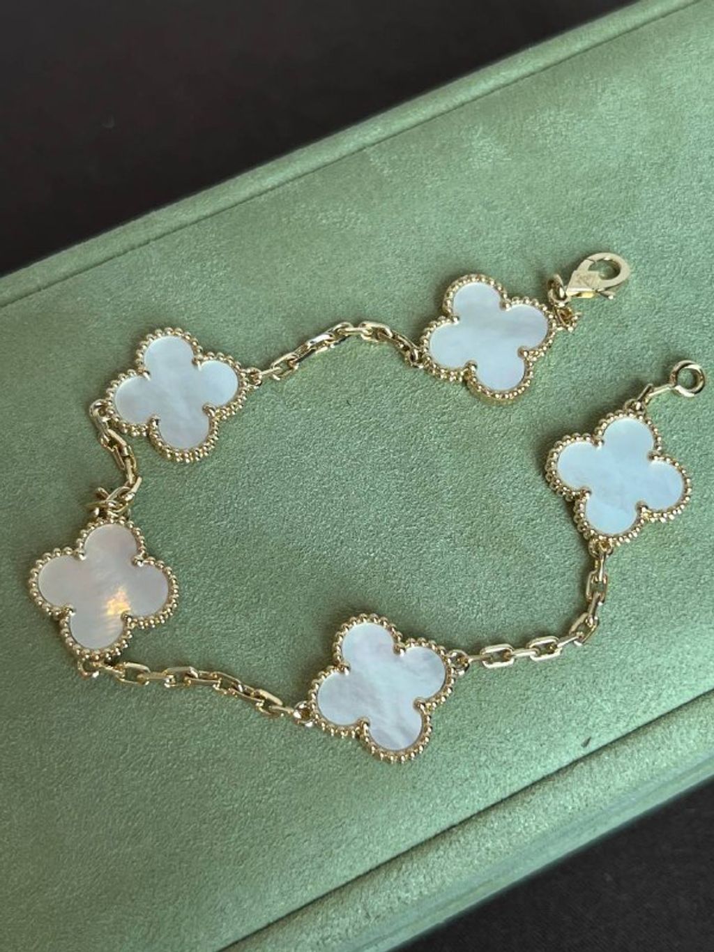 aa8870c3-854d-4fe4-94a6-4c570d19f5b4