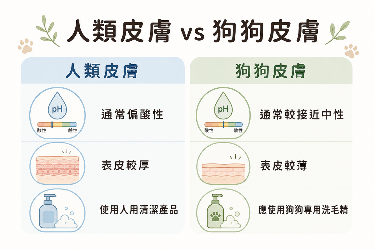 狗狗與人用產品皮膚差異比較