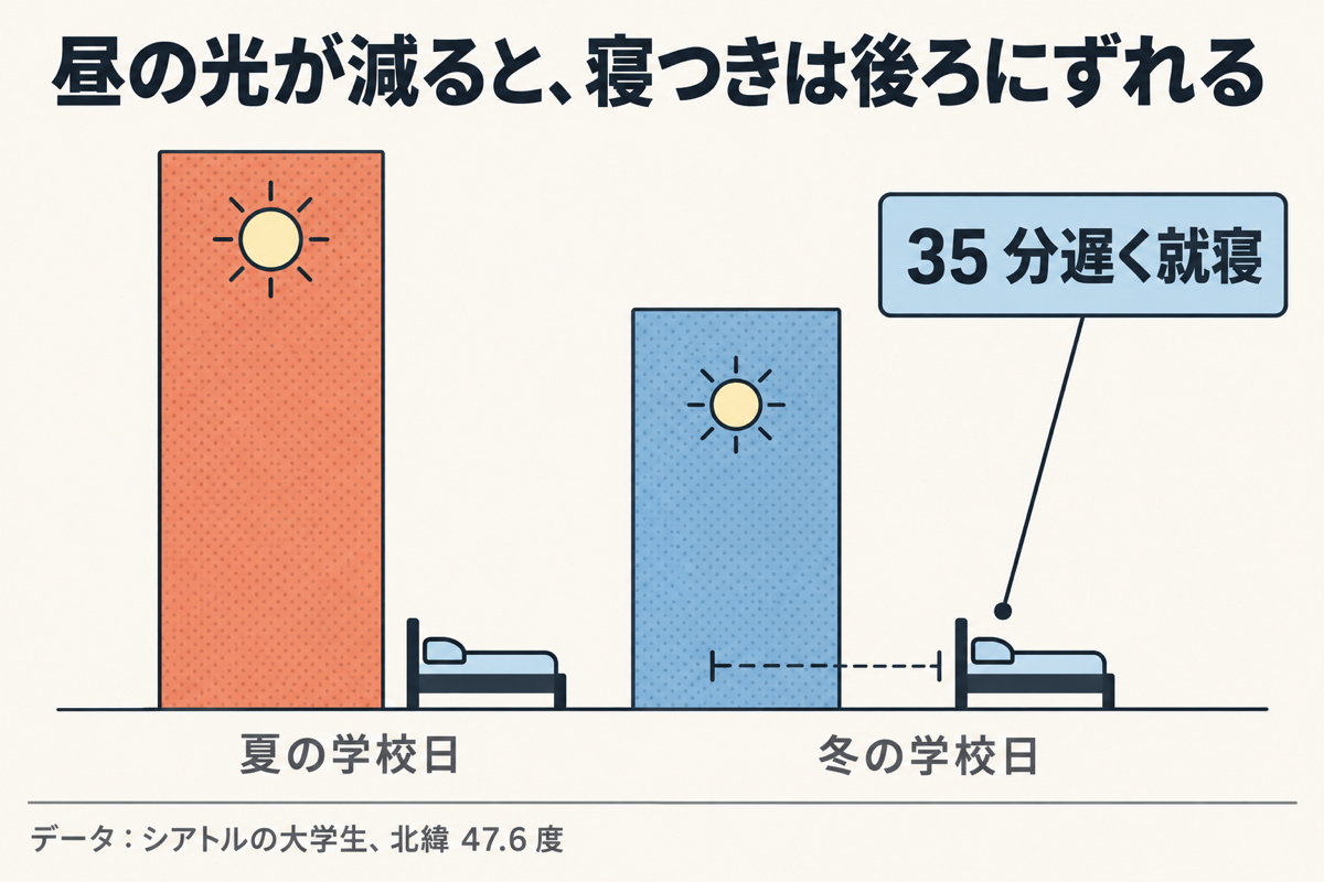 夏と冬の昼の長さを比較。35 分遅く就寝。データ：シアトルの大学生、北緯 47.6 度。