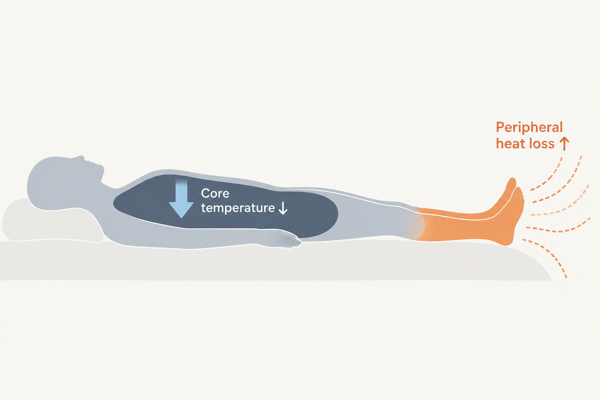 Flat schematic showing increased heat loss at the periphery (orange wavy lines leaving the feet) and a corresponding fall in core body temperature (blue-grey downward arrow), illustrating the physiological route by which warming the feet helps the core cool down.