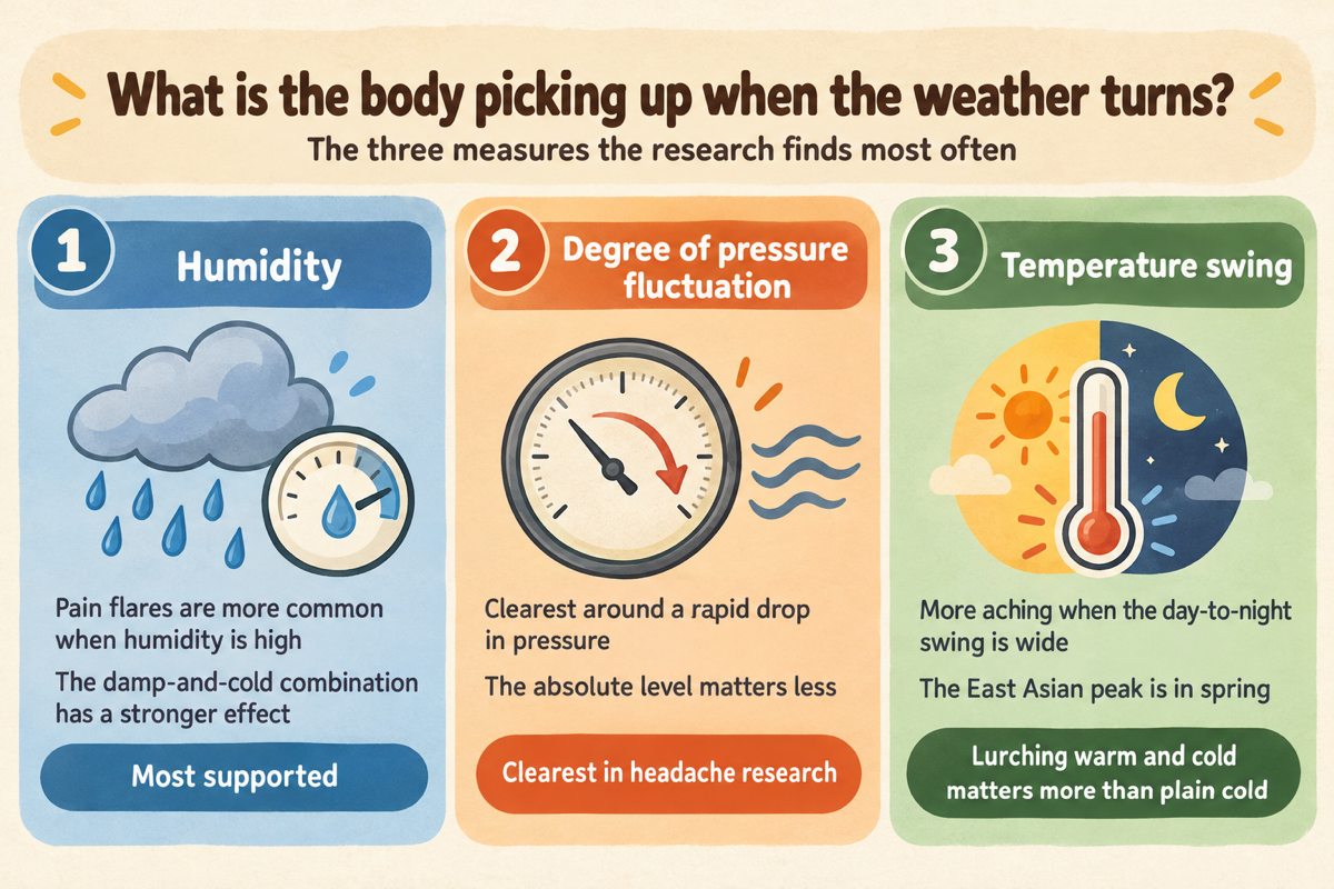 Infographic: the three indicators most often found in research—humidity, degree of air-pressure fluctuation, and temperature swing.