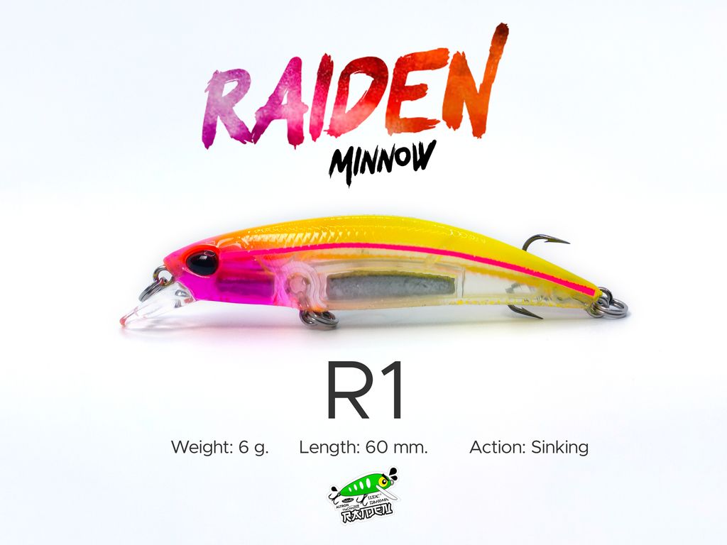 r-minnow-r1