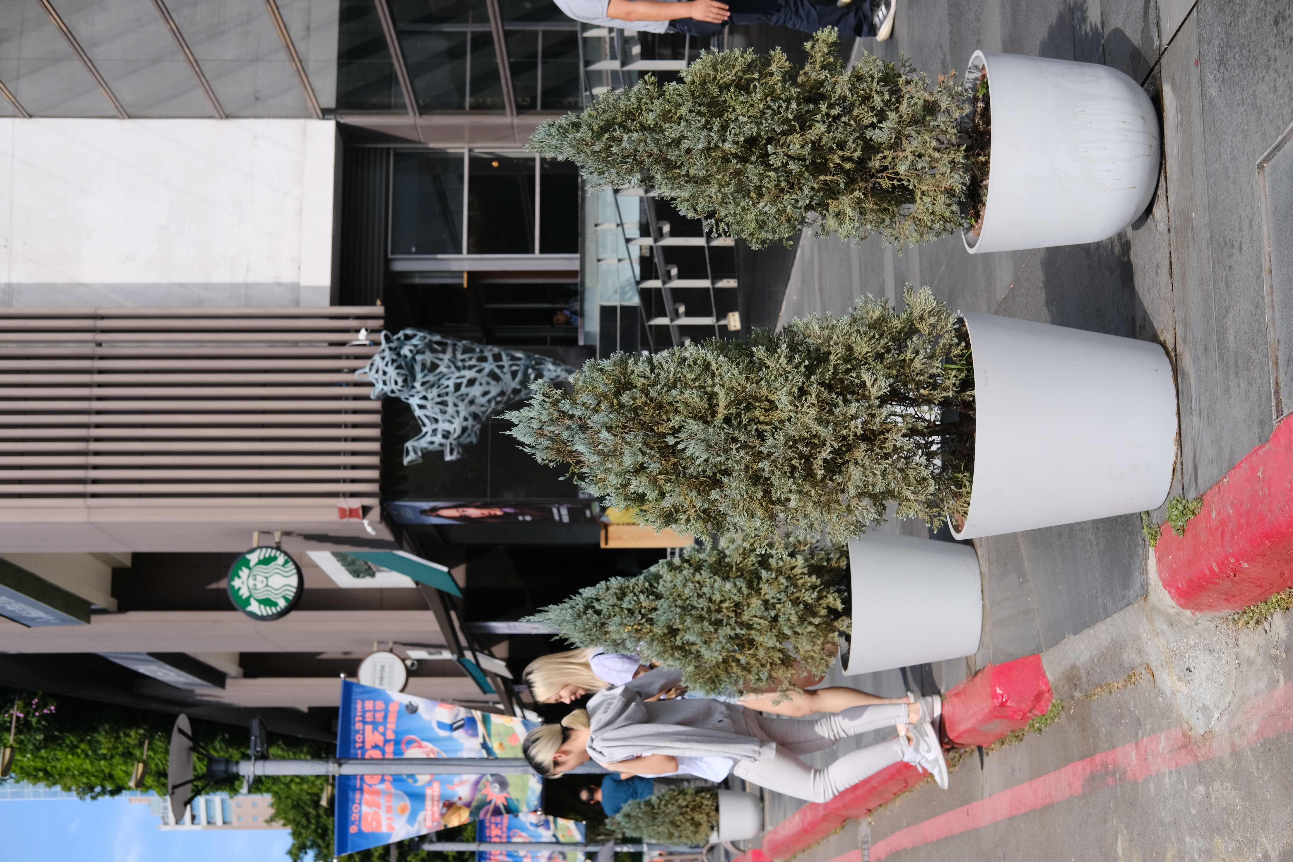 DSCF5487 2
