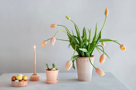  | SUPER PLANTER