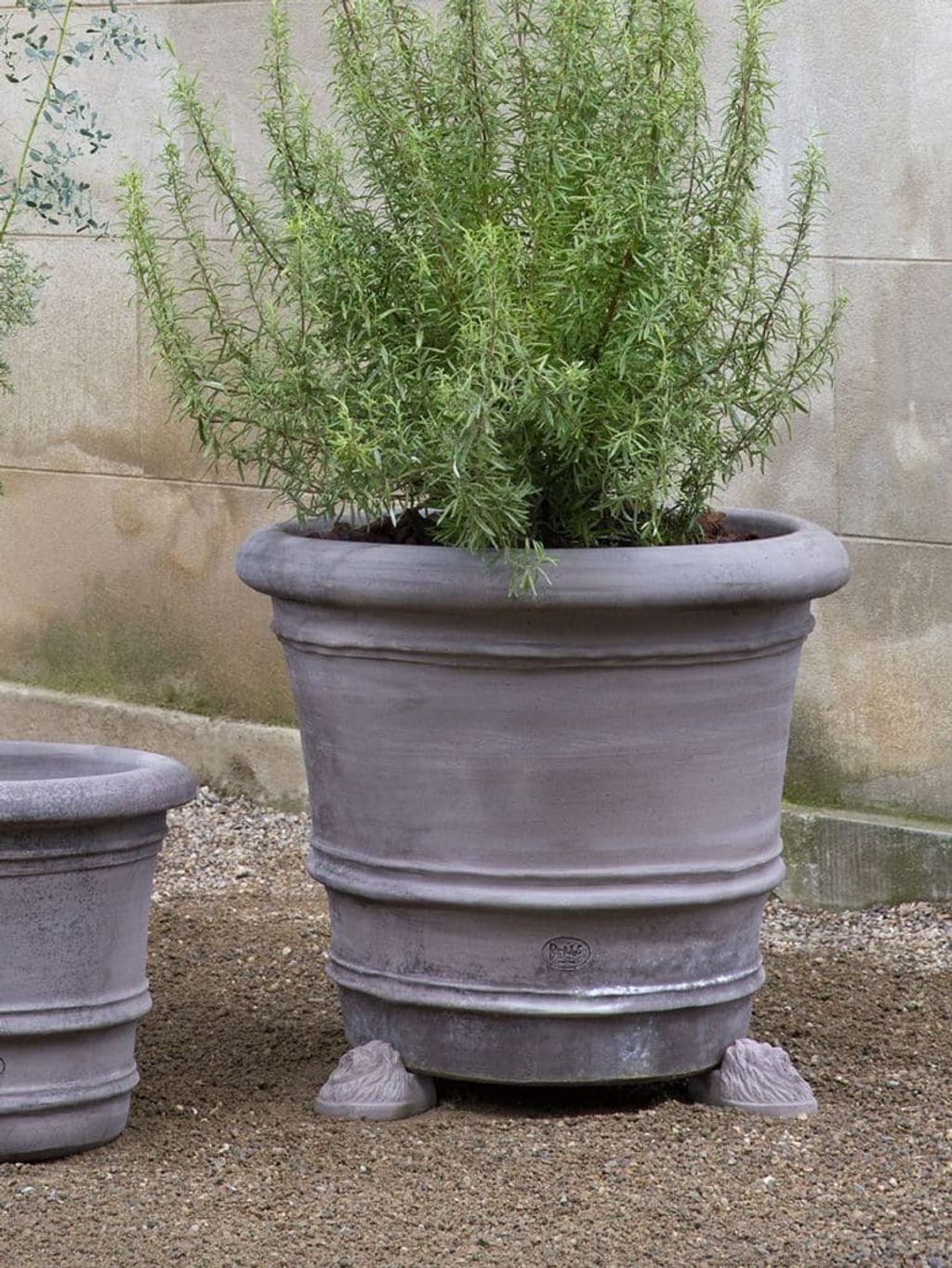 lion_head01-773x1030