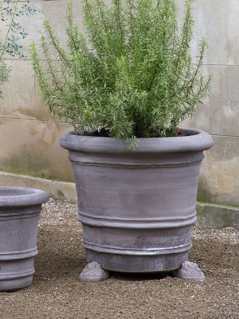 lion_head01-773x1030