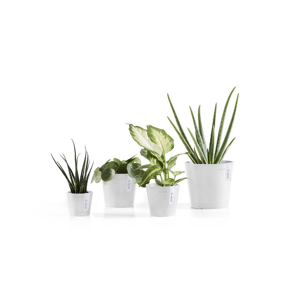 2825237459