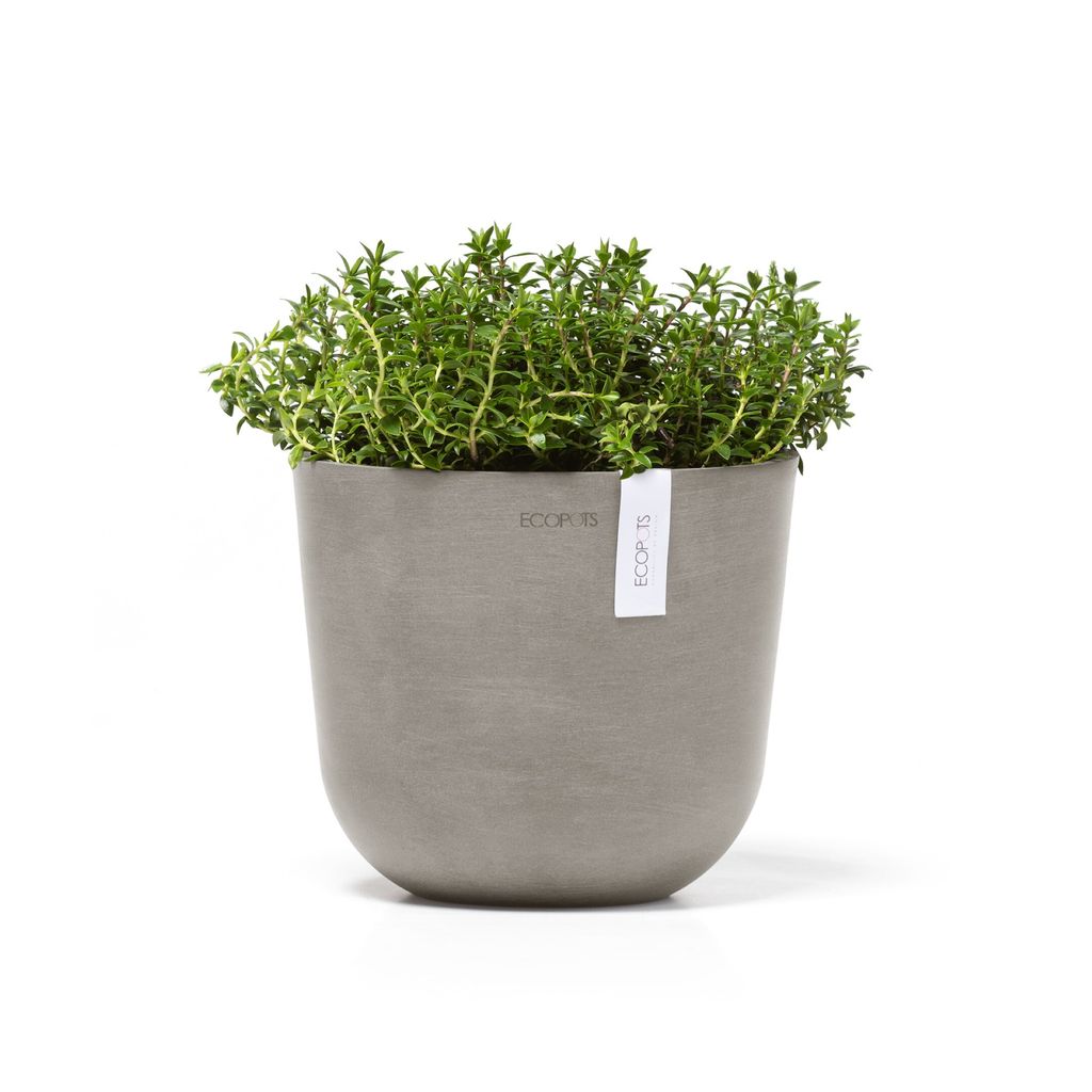 OSL.19.TA-Productshot_03-Ecopots_plant