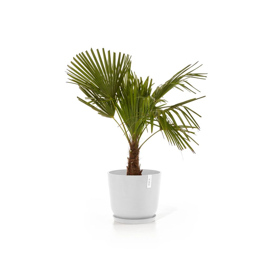 5413724329848_13 Oslo 35 Water Reservoir Pure White