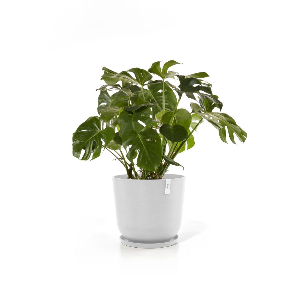 5413724332237_12 Oslo 55 Pure White