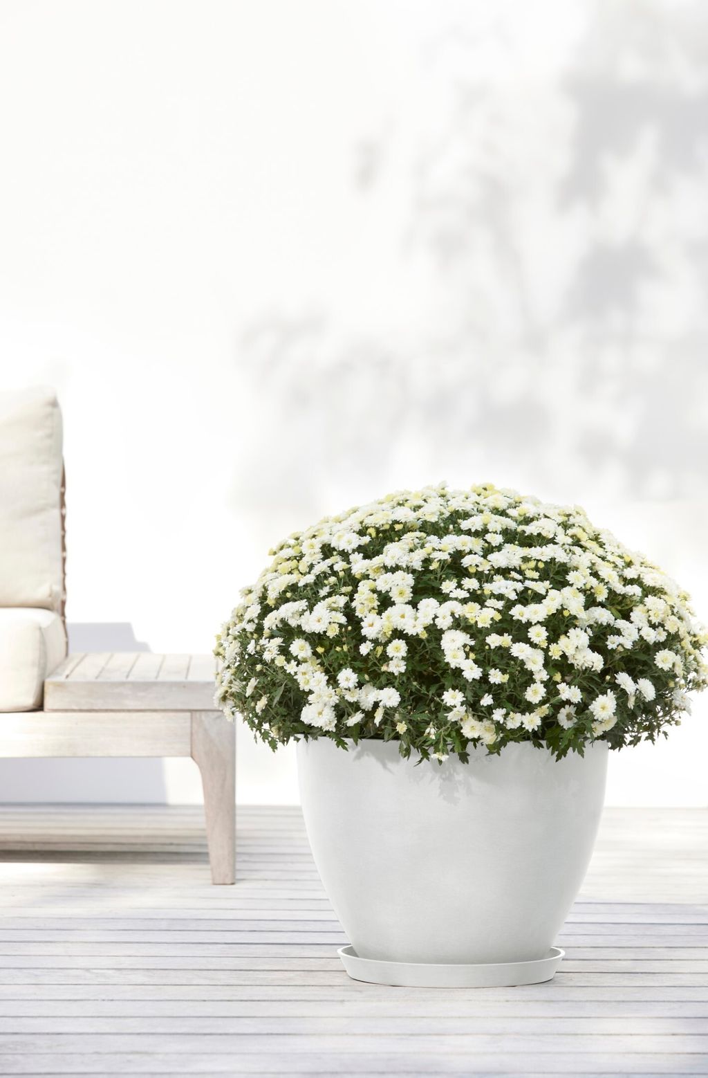 5413724332398_95 Antwerp 40 Pure White
