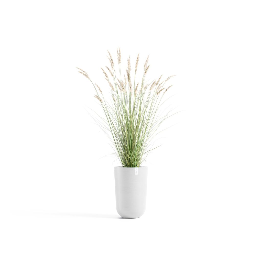 5413724332664_01 Oslo High 52 Pure White
