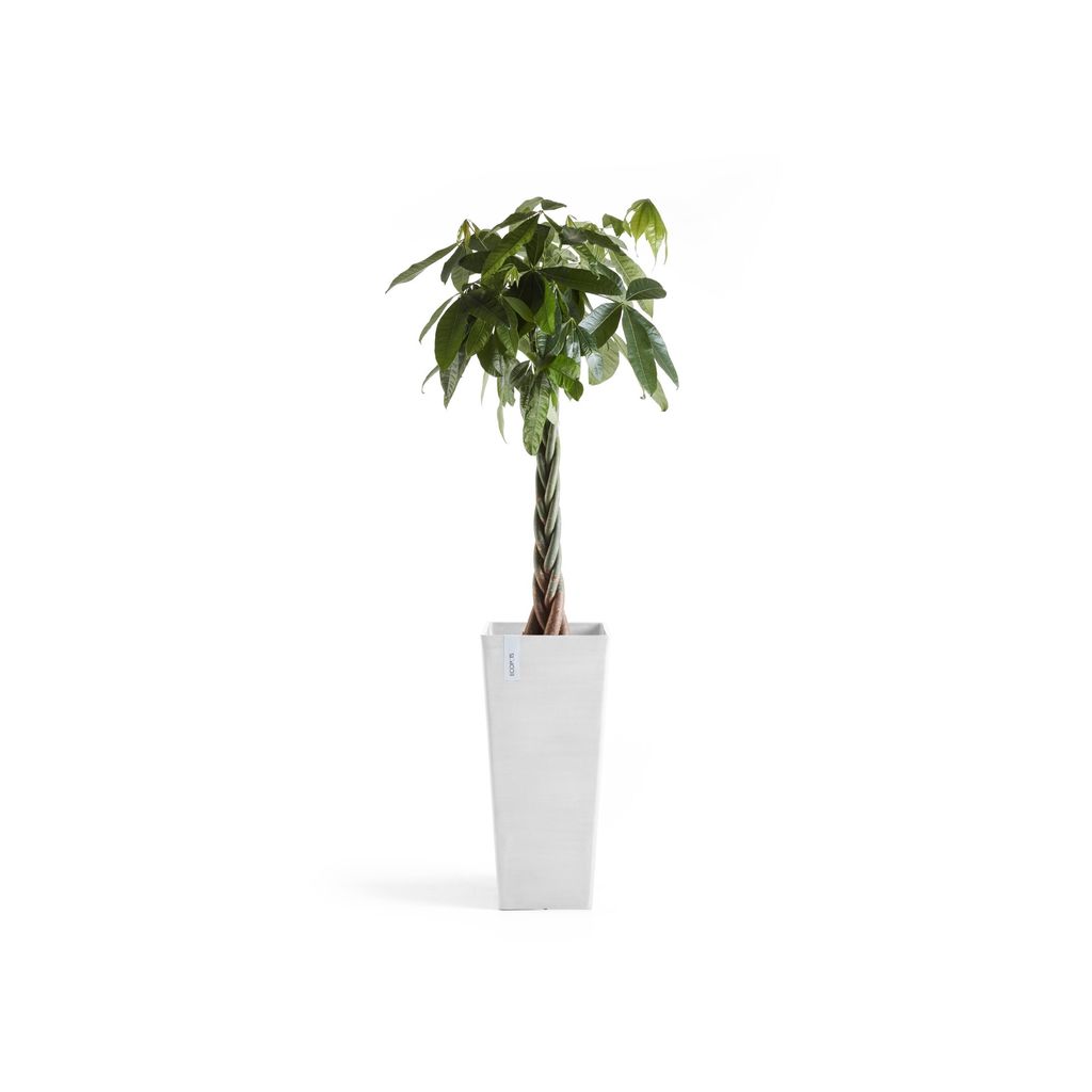 5413724332817_03 Rotterdam High 70 Pure White