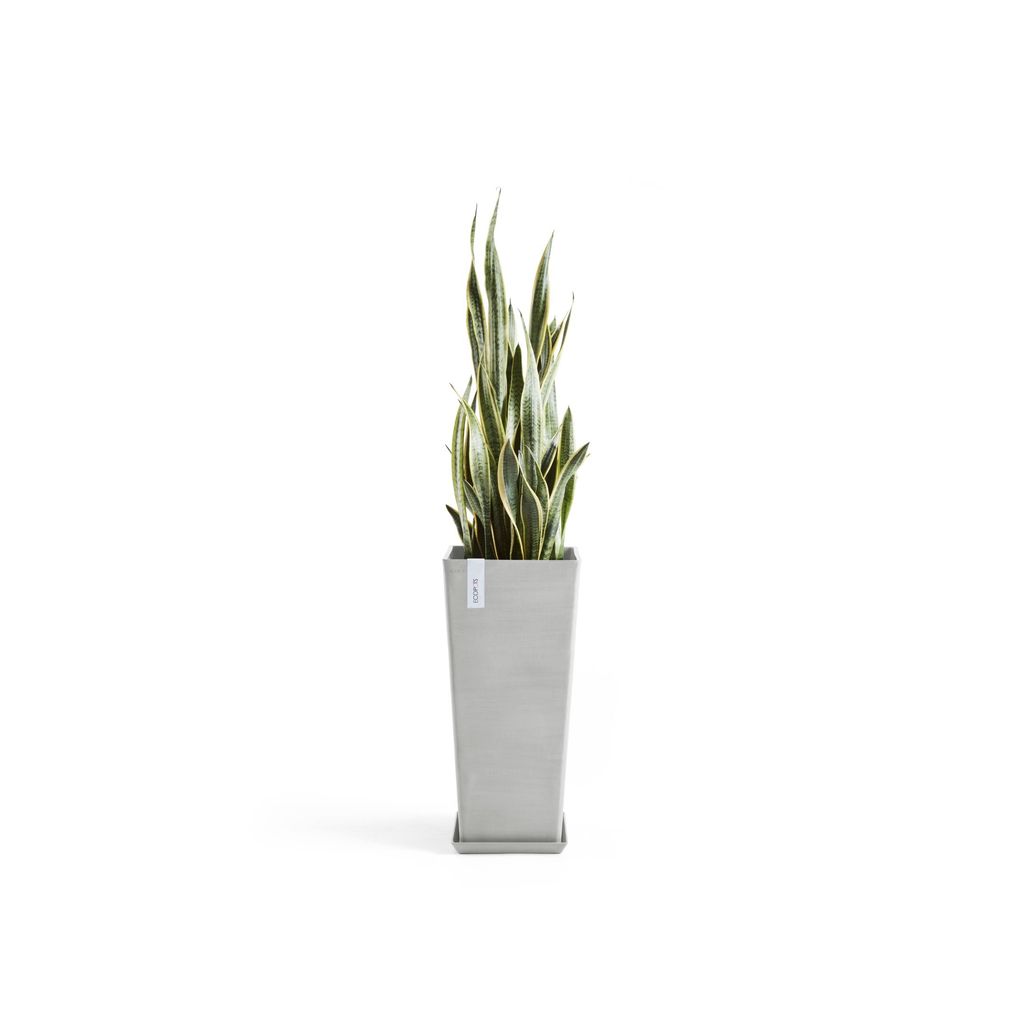 5413724303411_11 Rotterdam High 70 White Grey