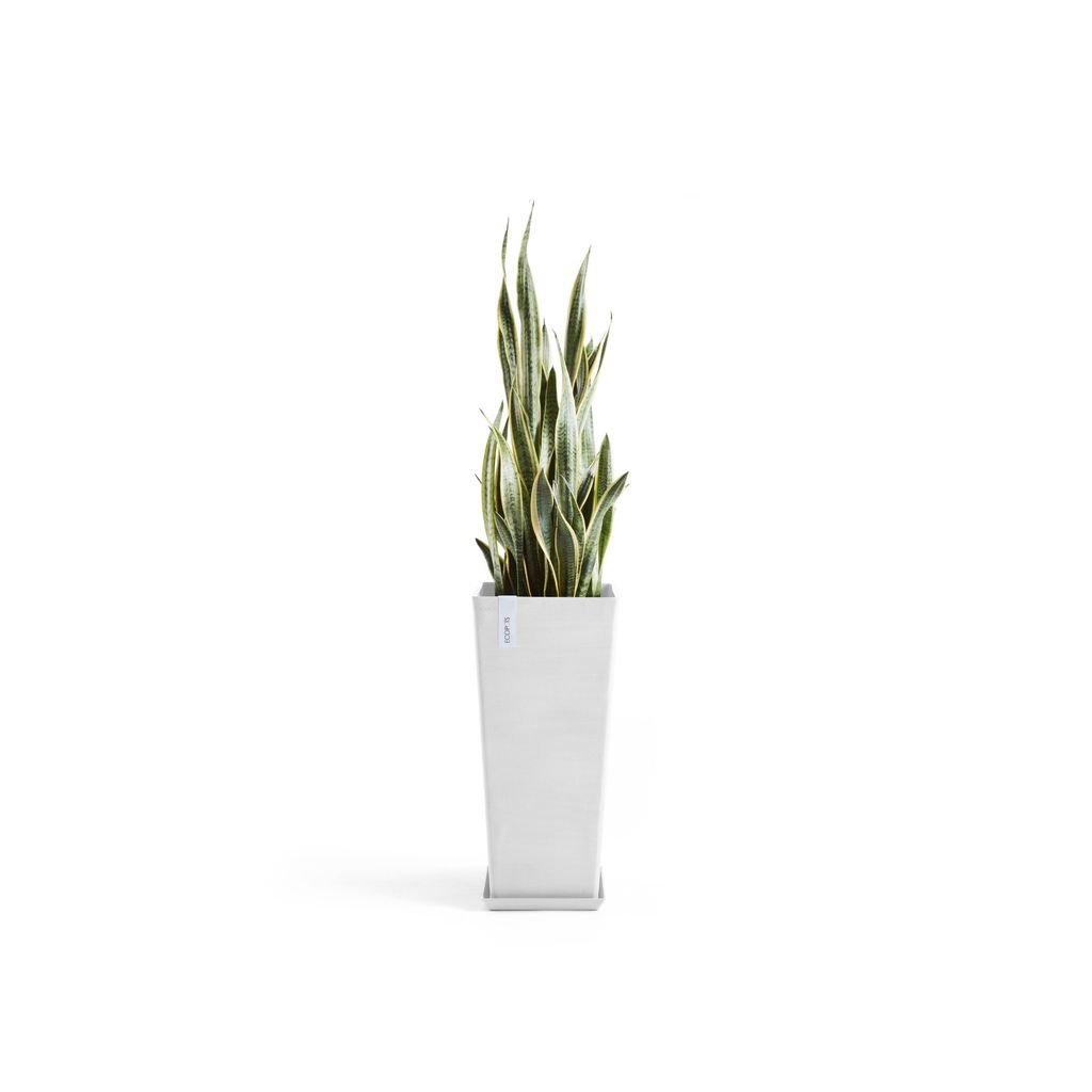 5413724332817_11 Rotterdam High 70 Pure White