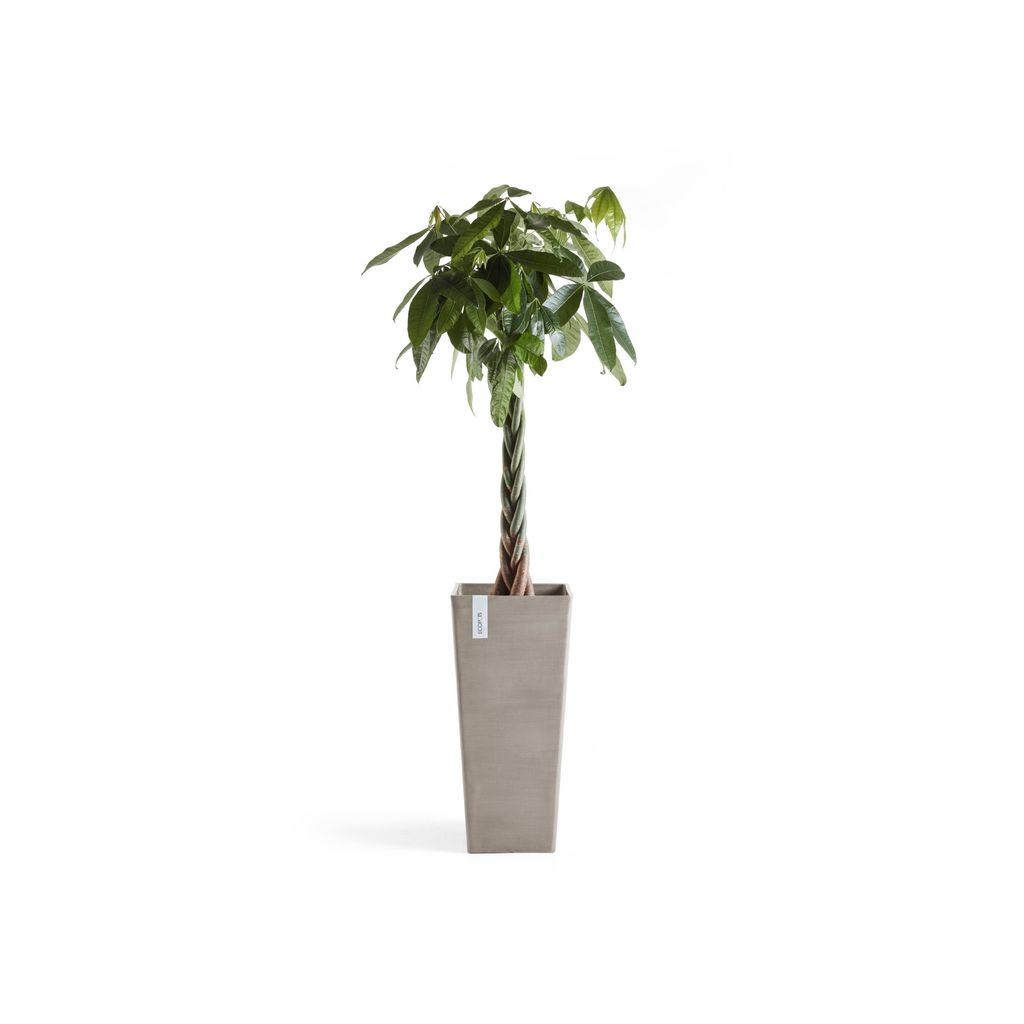 5411942748724_03 Rotterdam High 70 Taupe