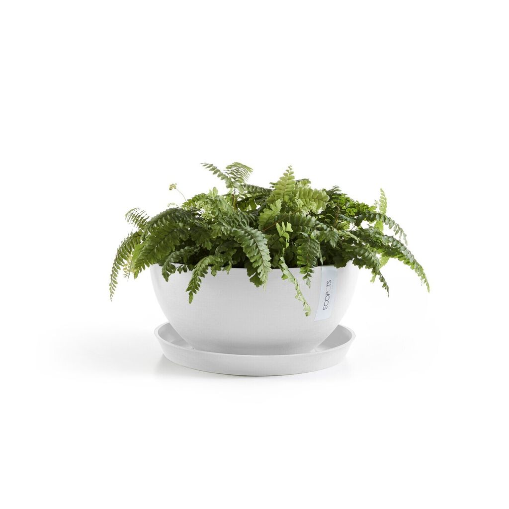 2843253434
