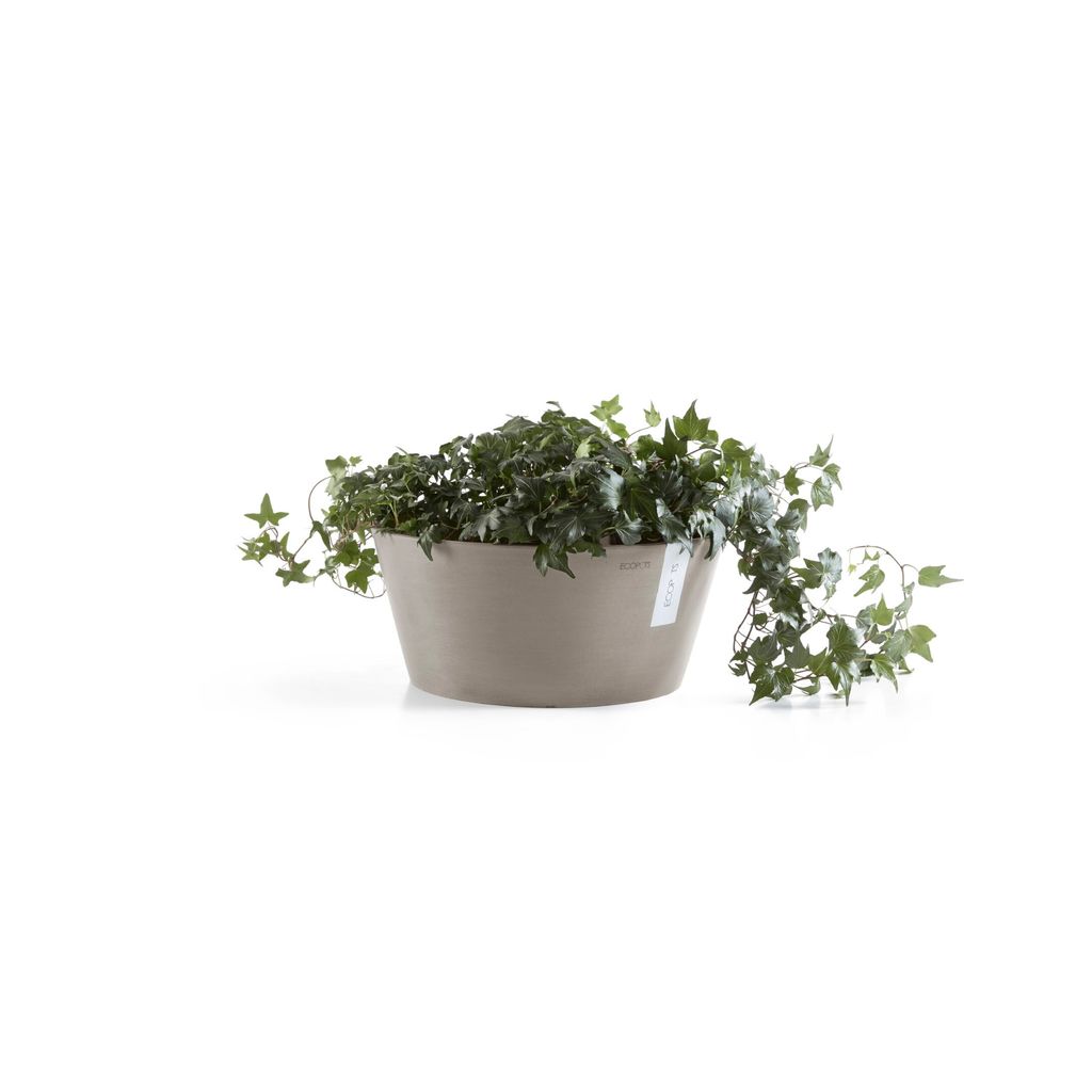 FR.30.TA-Productshot_03-Ecopots_plant