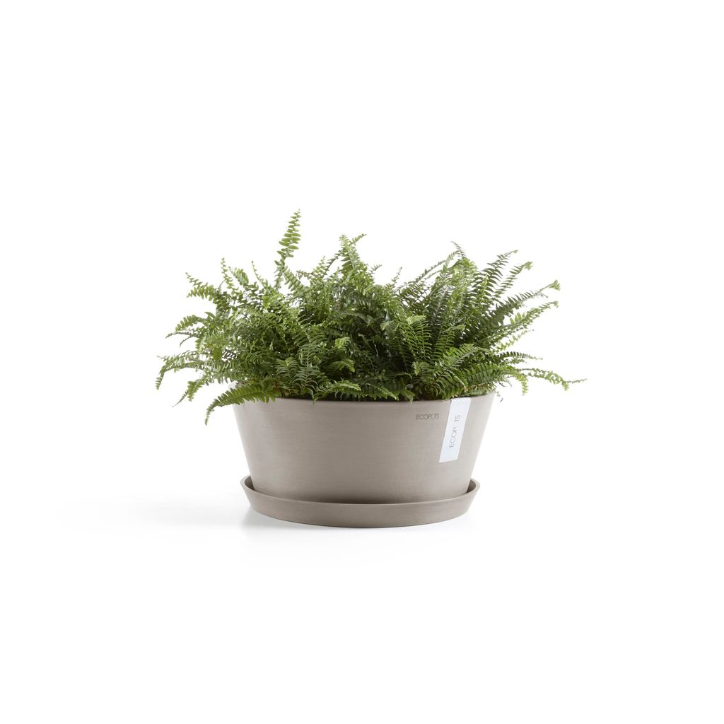 FR.30.TA-Productshot_11-Ecopots_Saucer_plant