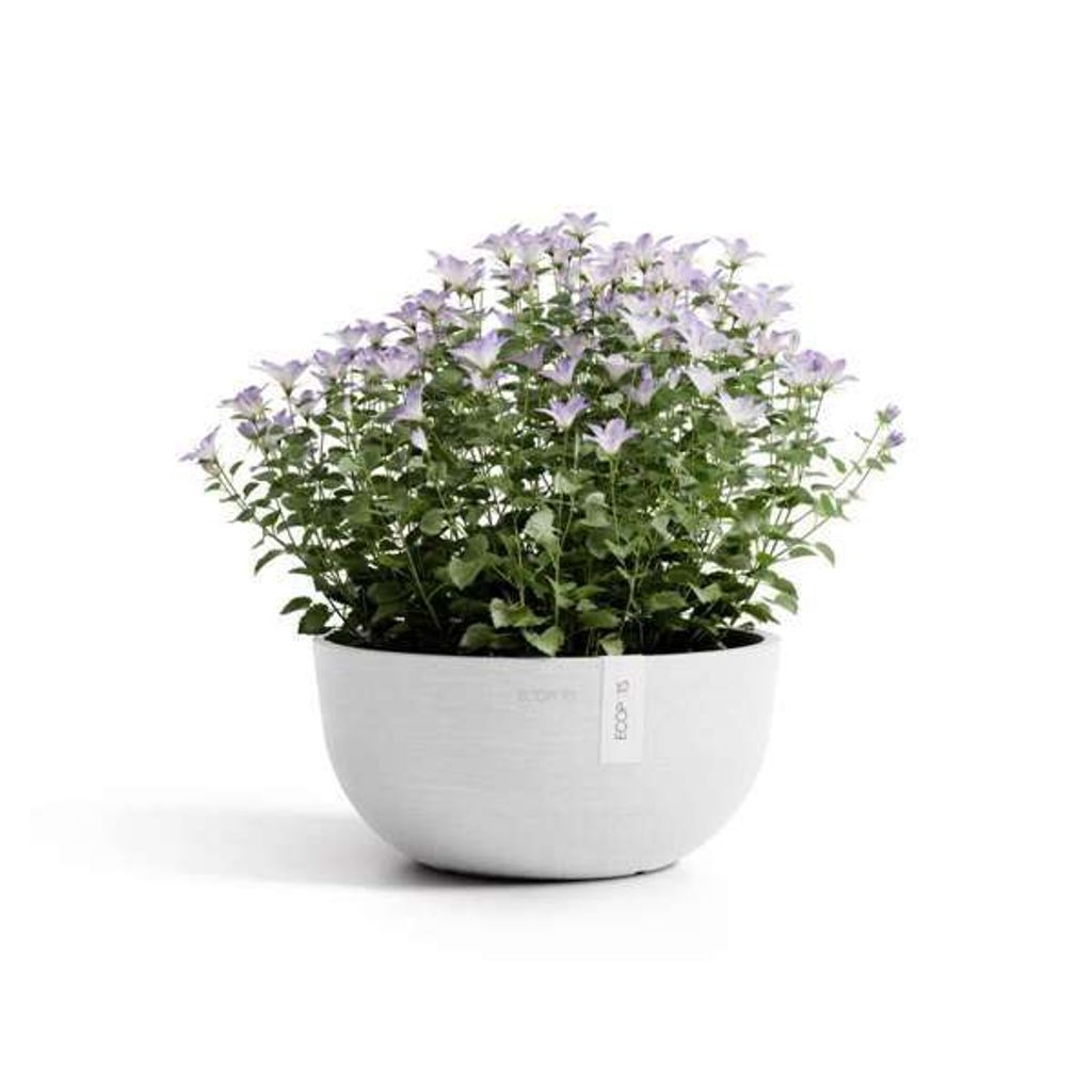 5407012914052_01 Oslo Low 25 Pure White
