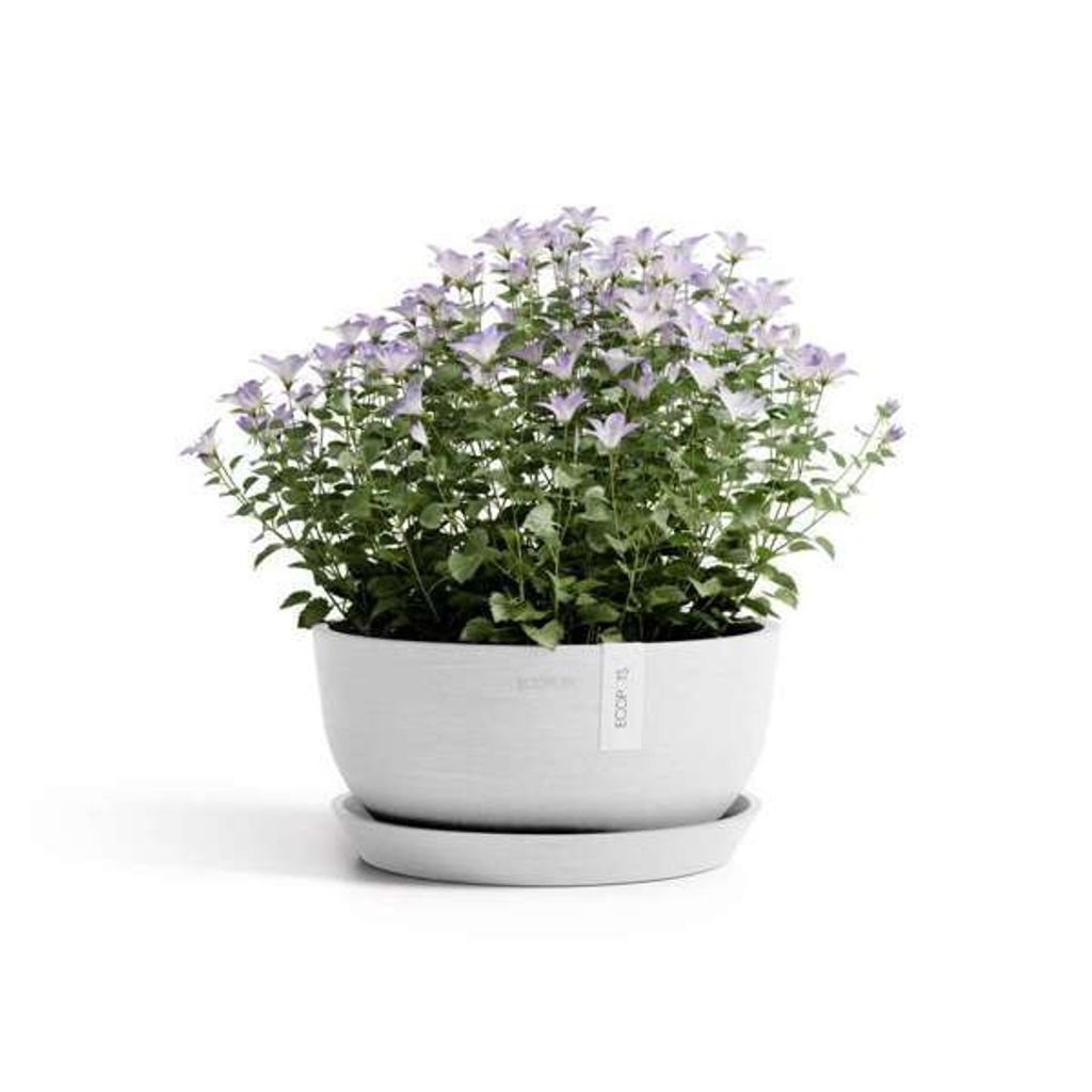 5407012914052_11 Oslo Low 25 Pure White