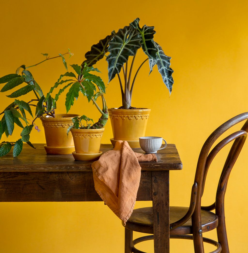 Bergs_Potter_Copenhagen_Glazed_Yellow_8拷貝