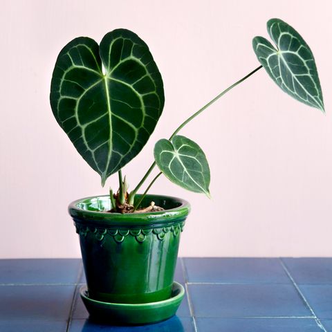 Bergs_Potter_Copenhagen_Glazed_Green_11拷貝