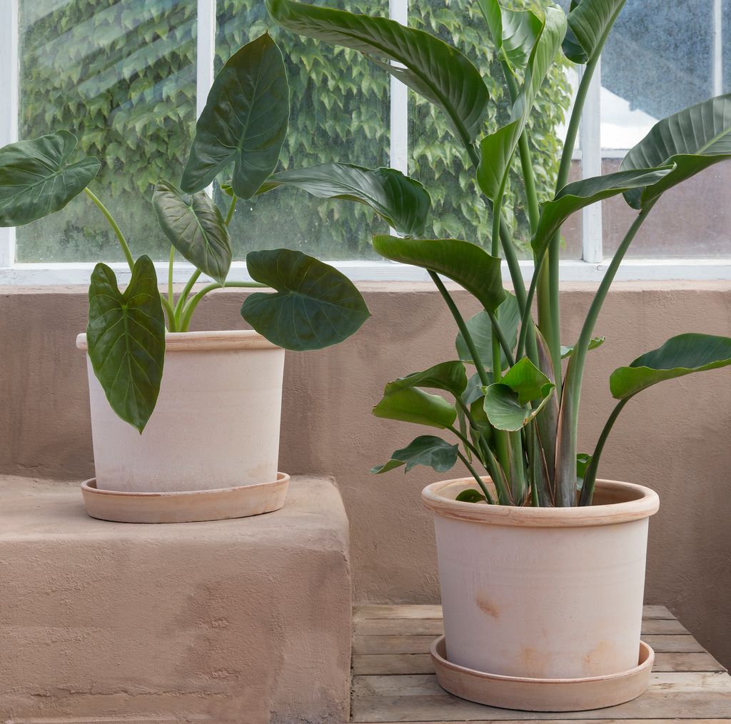 Bergs_Potter_Galestro_Outdoor_Rosa_4拷貝