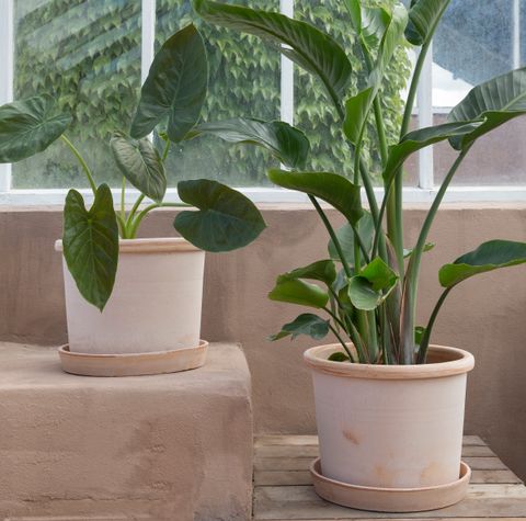 Bergs_Potter_Galestro_Outdoor_Rosa_4拷貝