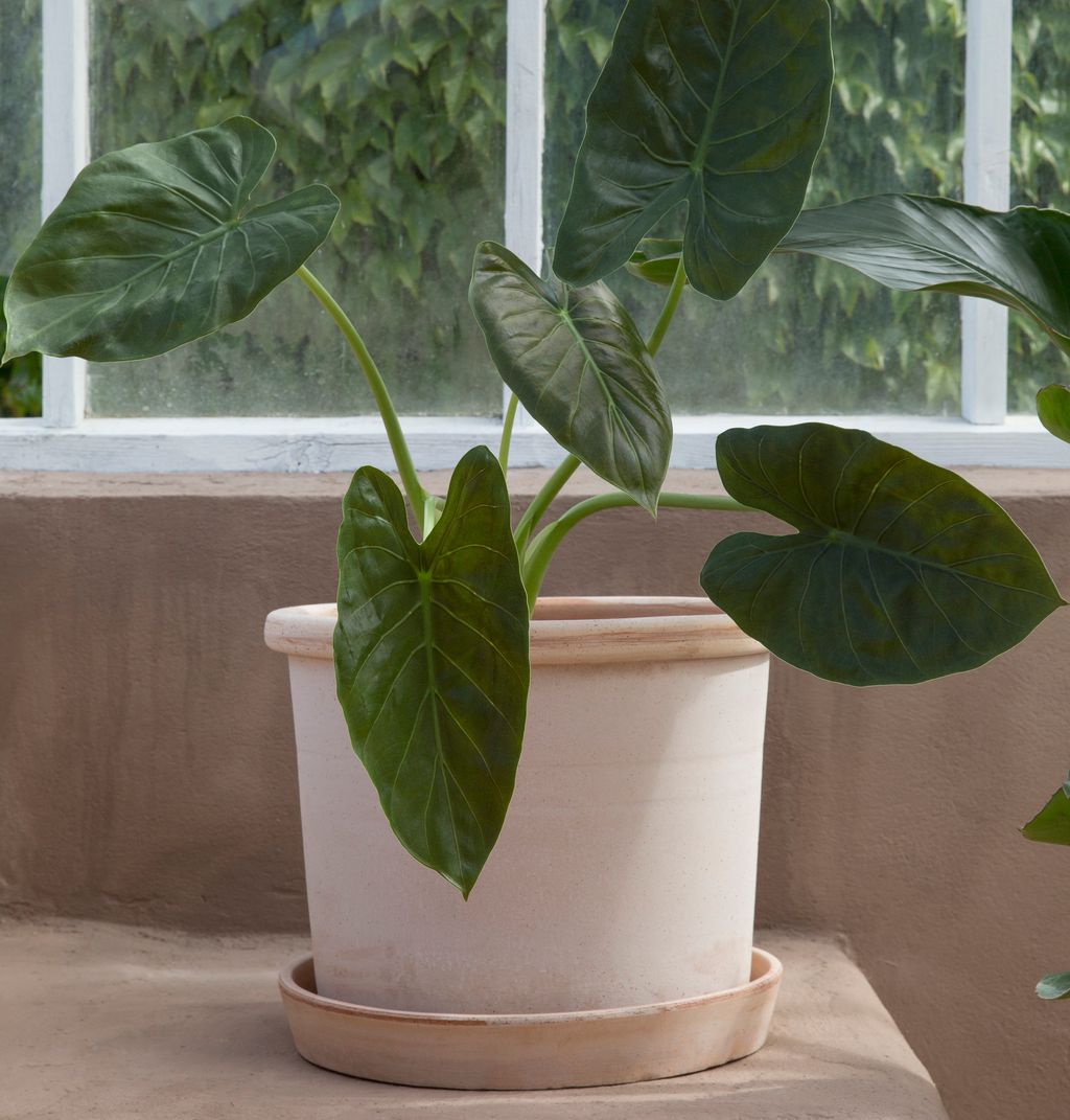 Bergs_Potter_Galestro_Outdoor_Rosa_2拷貝