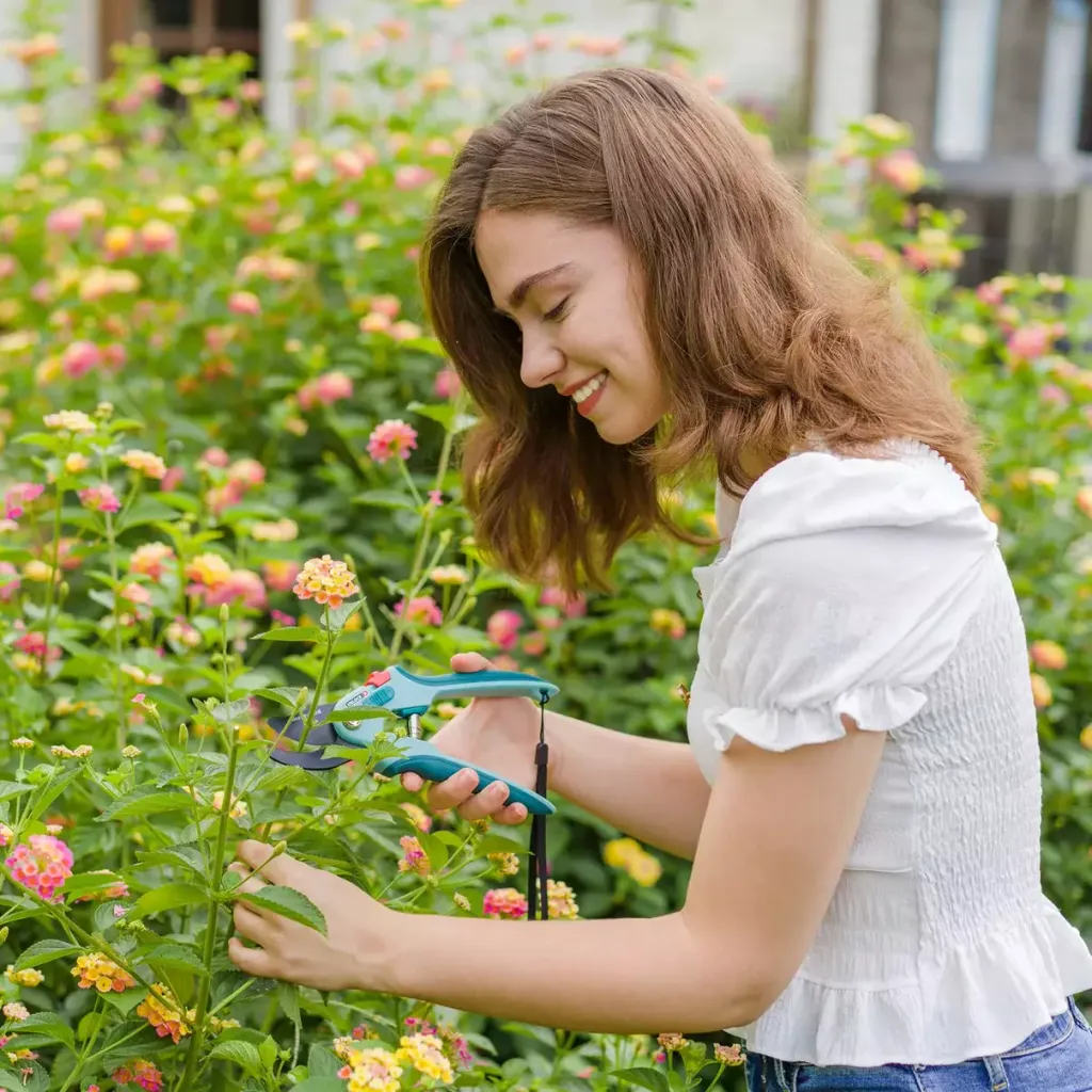 PruningFlowers