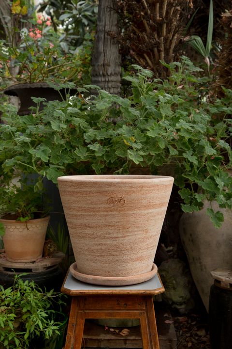 Bergs_Potter_Julie_Outdoor_Rosa_1