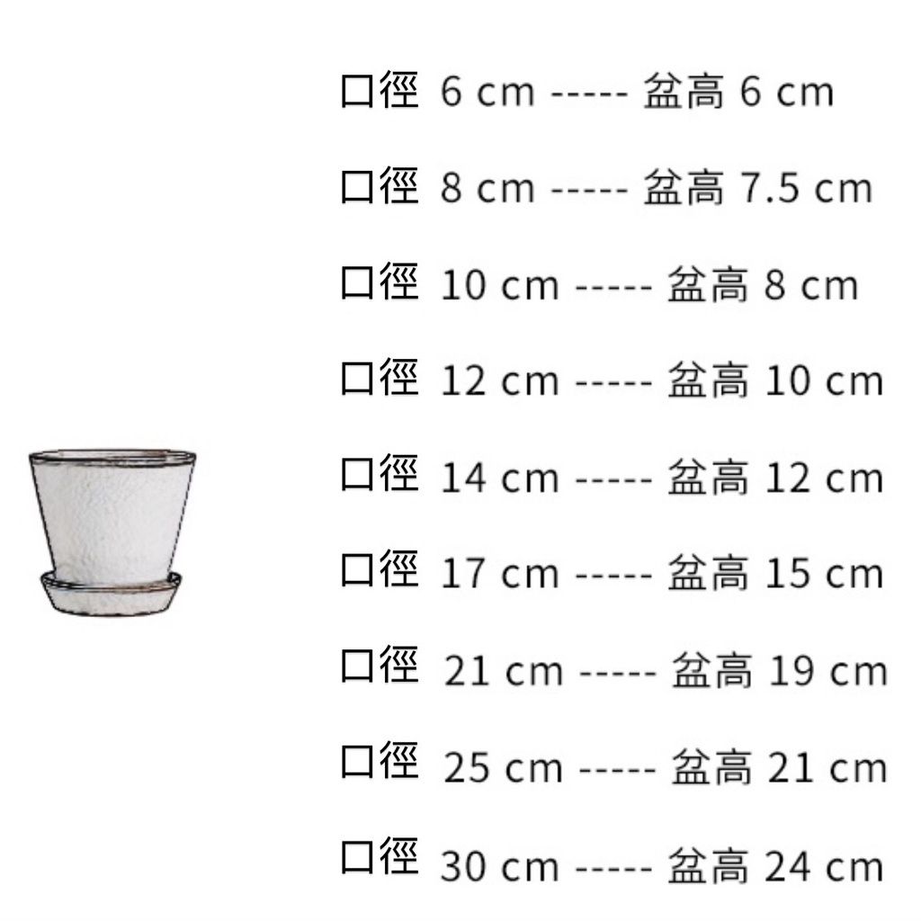 0ae65cf2bdc353ff58e092e486953965