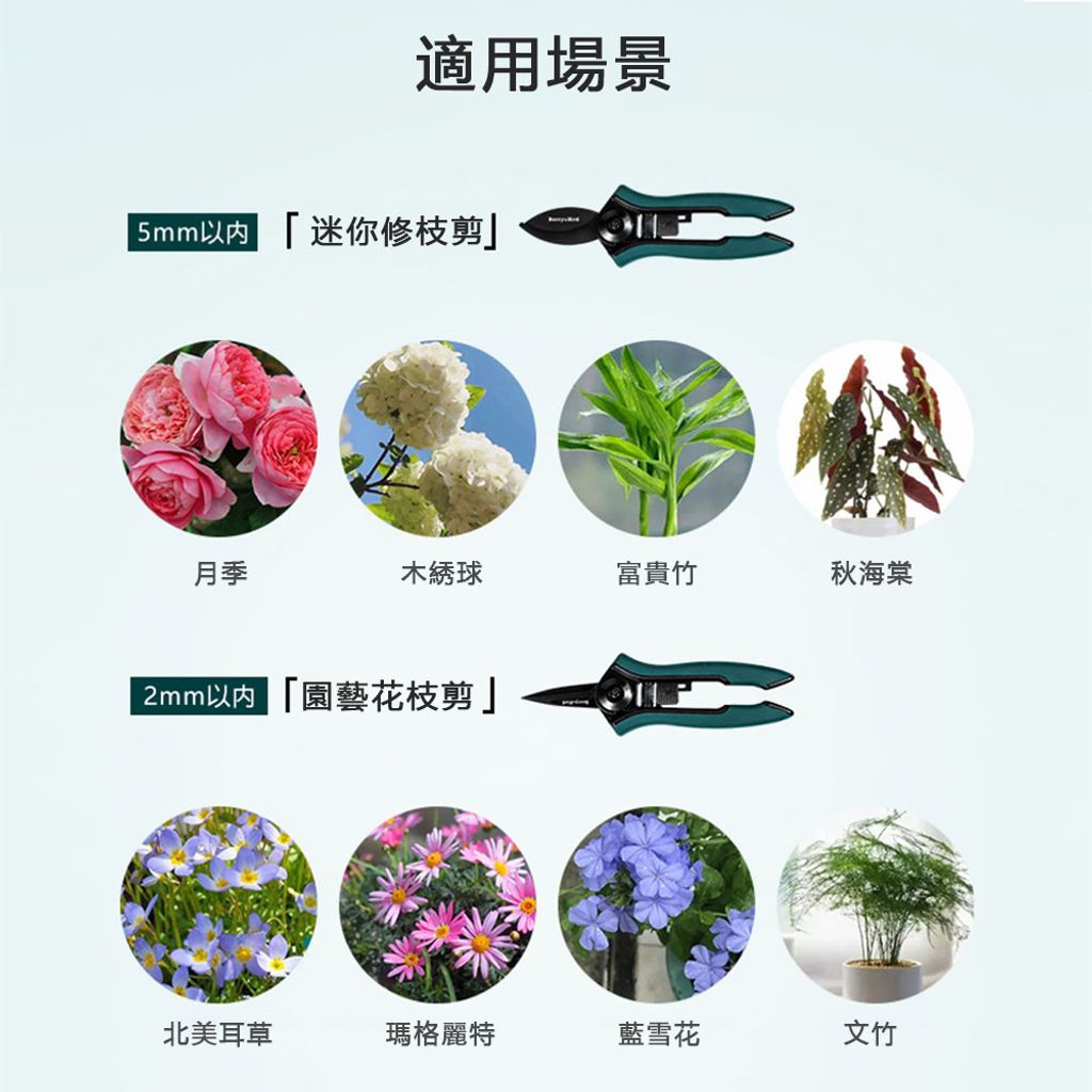 tw-11134207-7r98o-ls6tfu8zsg0848