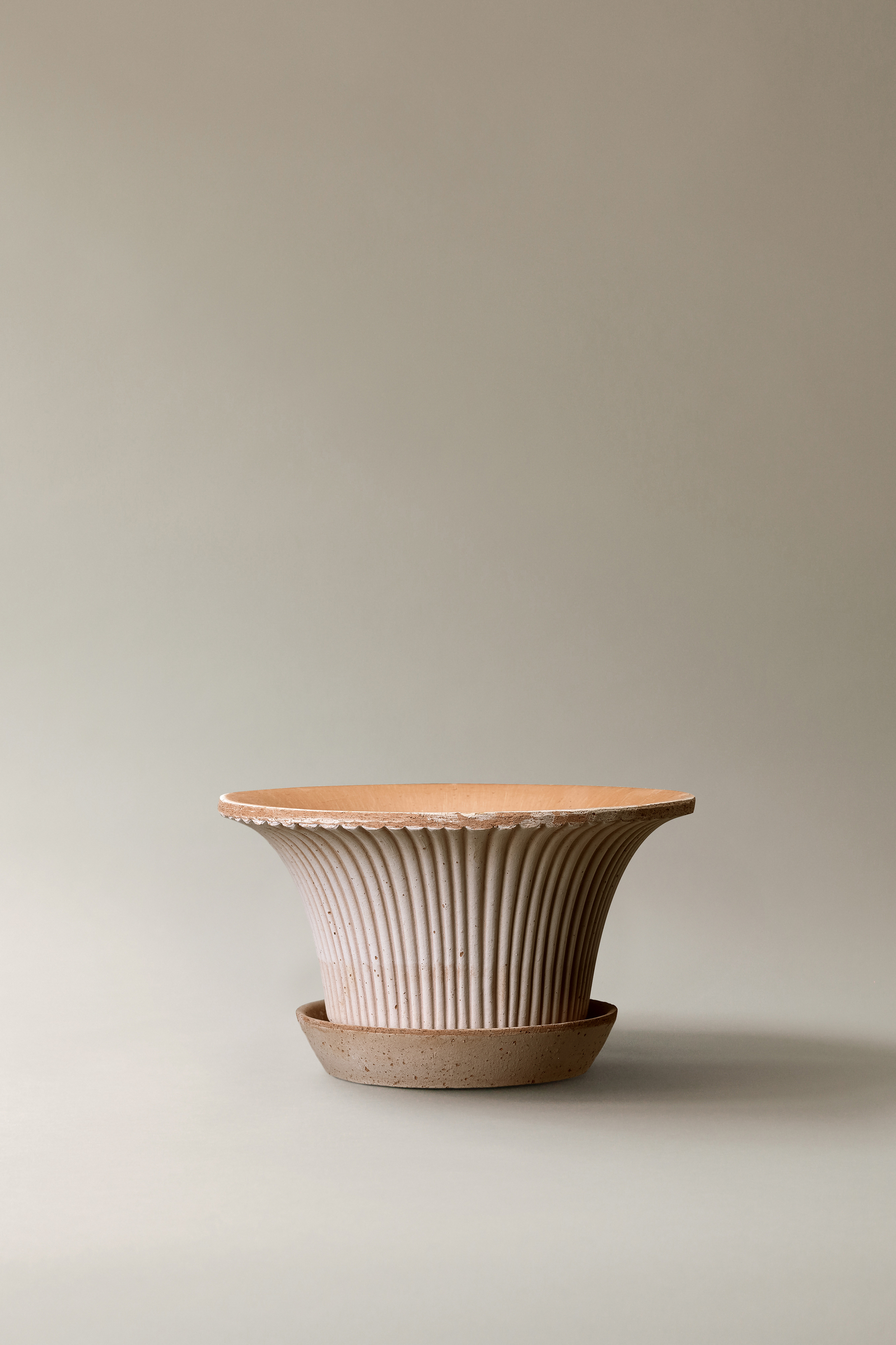 BERGS-POTTER_Daisy_raw_raro_4833