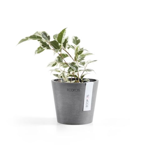 AM.10.GR-SP-Productshot_02-Ecopots_plant
