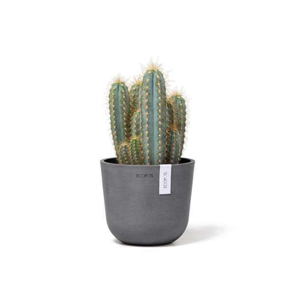 OSL.16.GR-Productshot_02-Ecopots_plant