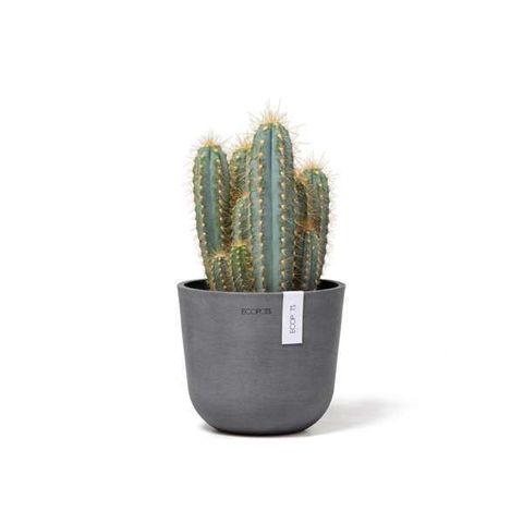 OSL.16.GR-Productshot_02-Ecopots_plant