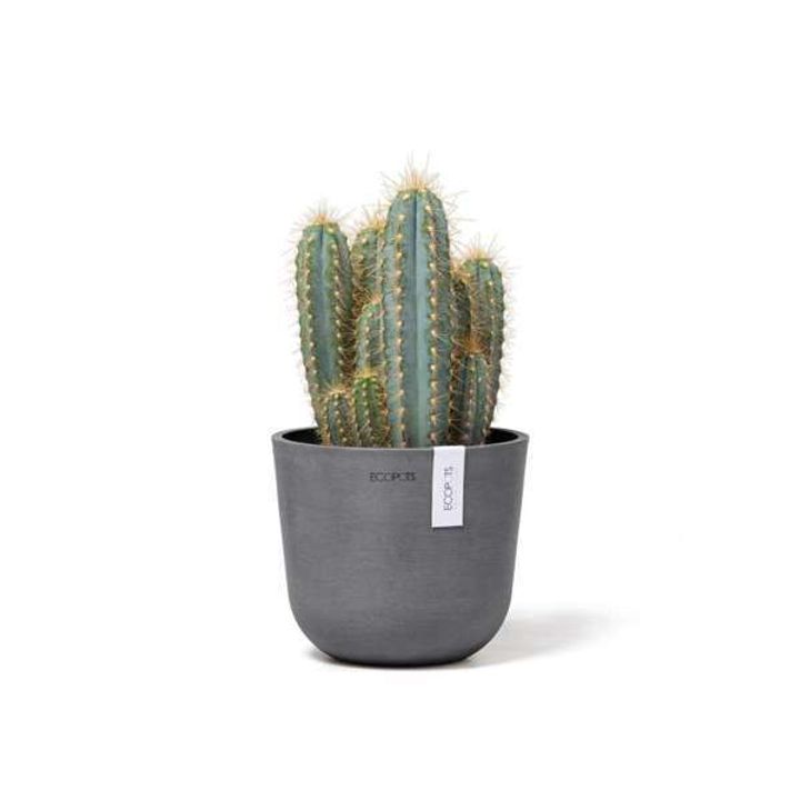 OSL.16.GR-Productshot_02-Ecopots_plant