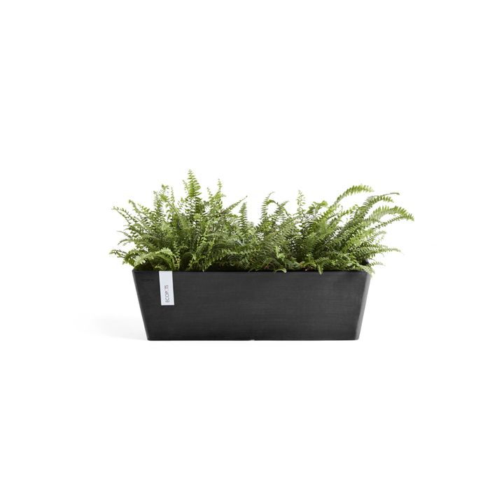 BR.45.DG-Productshot_01-Ecopots_plant
