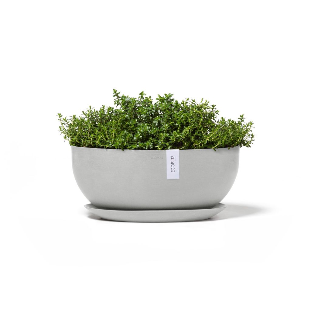 SOF.43.WG-Productshot_13-Ecopots_Saucer_plant