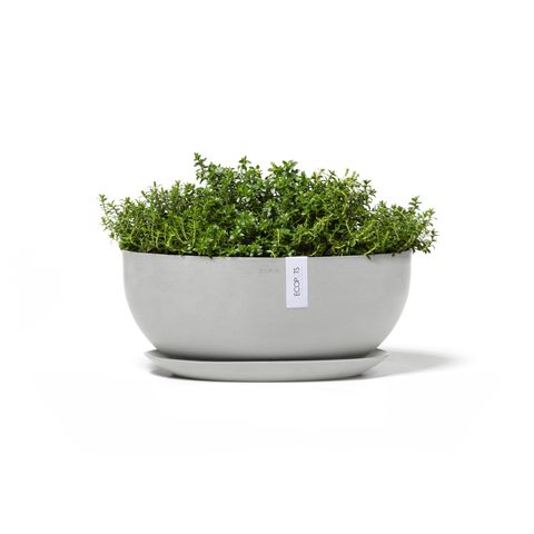 SOF.43.WG-Productshot_13-Ecopots_Saucer_plant