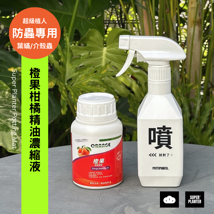 蝦皮商品圖 (2)